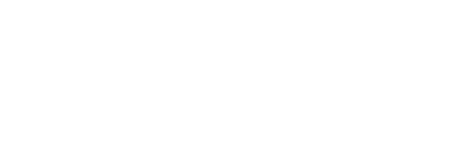 Fast Zebra consulting Sp. z o.o. - szkolenia, audyty, kursy eCommerce i IT 